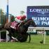 Belmont Stakes Races